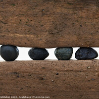 Buy canvas prints of Seaside wood and pebbles a study at Spurn Point by Beverley Middleton