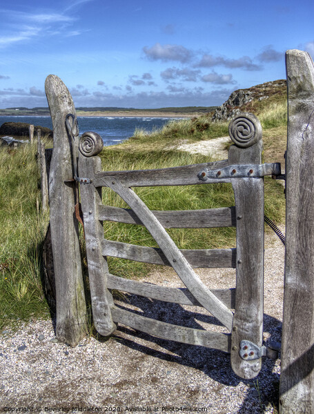 celtic gate on Anglesey Picture Board by Beverley Middleton