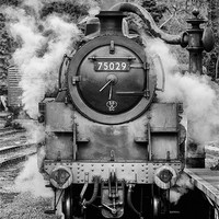 Buy canvas prints of 75029 The Green Knight by Neil Nicklin