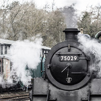 Buy canvas prints of 75029 The Green Knight by Neil Nicklin