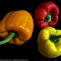 Buy canvas prints of Peppers by Gordon Holmes