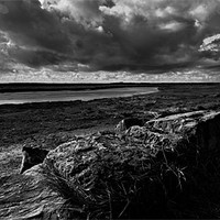 Buy canvas prints of Saltmarsh and stormclouds by Paul May
