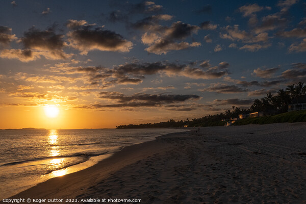 Golden Sunrise over Paradise Island Picture Board by Roger Dutton