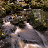 Buy canvas prints of Autumn's Cascade of Water through Padley Gorge  by Roger Dutton