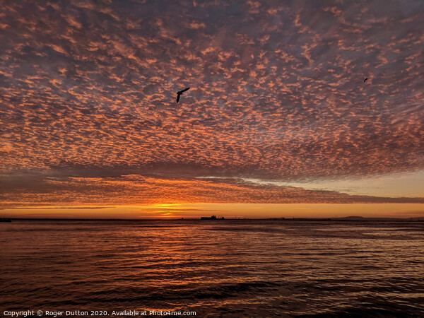 Lisbon Sunrise Sky Picture Board by Roger Dutton