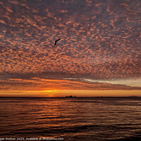 Buy canvas prints of Lisbon Sunrise Sky by Roger Dutton