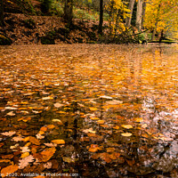 Buy canvas prints of Cascading Autumn Pools by Roger Dutton