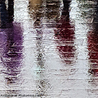 Buy canvas prints of Vibrant Mauve Reflections in Rainy Rome by Roger Dutton