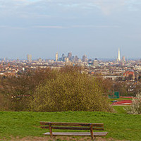 Buy canvas prints of London from Parliament Hill by Steve Wilcox