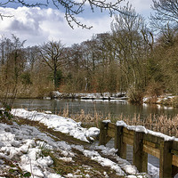 Buy canvas prints of Park Lime Pits In Winter by Steve Wilcox
