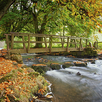 Buy canvas prints of Autumn In Beresford Dale by Steve Wilcox