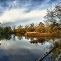 Buy canvas prints of Lower Pool, Park Lime Pits by Steve Wilcox