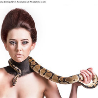 Buy canvas prints of Snake Charmer by Fiona Brims