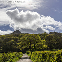 Buy canvas prints of The path to Roseberry Topping by keith sayer