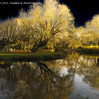 Buy canvas prints of Surreal Autumn Beauty Locke Park by keith sayer