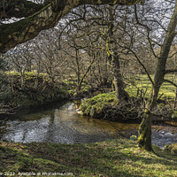 Buy canvas prints of River Dove Farndale by keith sayer