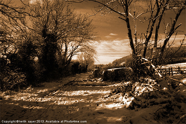 Winter Walk Picture Board by keith sayer