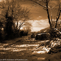 Buy canvas prints of Winter Walk by keith sayer