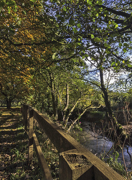 Autumn By The Stream Picture Board by keith sayer