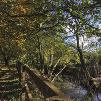 Buy canvas prints of Autumn By The Stream by keith sayer