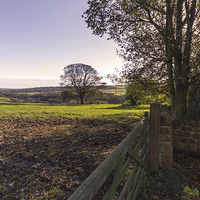 Buy canvas prints of Gate To The Oak Tree by keith sayer