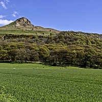 Buy canvas prints of Roseberry Topping by keith sayer