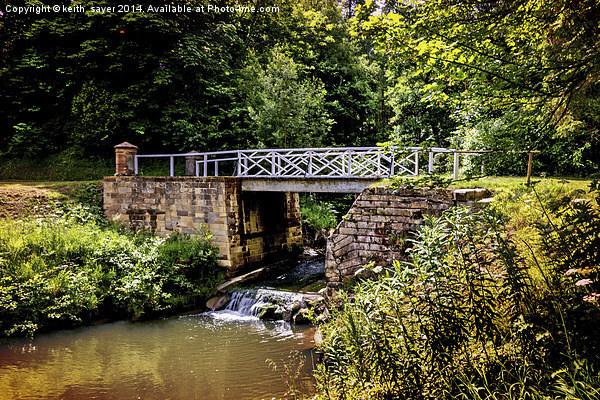 Bridge in the woods Sandsend Picture Board by keith sayer