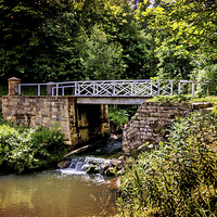Buy canvas prints of Bridge in the woods Sandsend by keith sayer