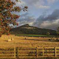 Buy canvas prints of  Winter Feed Roseberry Topping by keith sayer