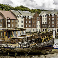 Buy canvas prints of  Past Its Best by keith sayer