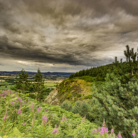 Buy canvas prints of  Carlton Bank by keith sayer