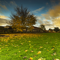 Buy canvas prints of  Autumn Dawn by keith sayer