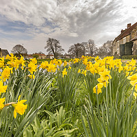 Buy canvas prints of The village green by keith sayer