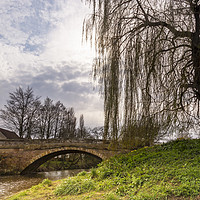 Buy canvas prints of Weeping Willow by keith sayer