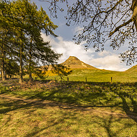 Buy canvas prints of Through the trees to Roseberry Topping by keith sayer