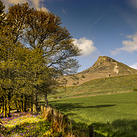Buy canvas prints of Roseberry Topping by keith sayer
