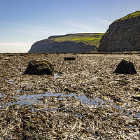 Buy canvas prints of Scar and Cliffs Skinningrove by keith sayer