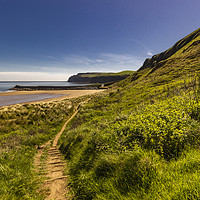 Buy canvas prints of Path down to the beach by keith sayer