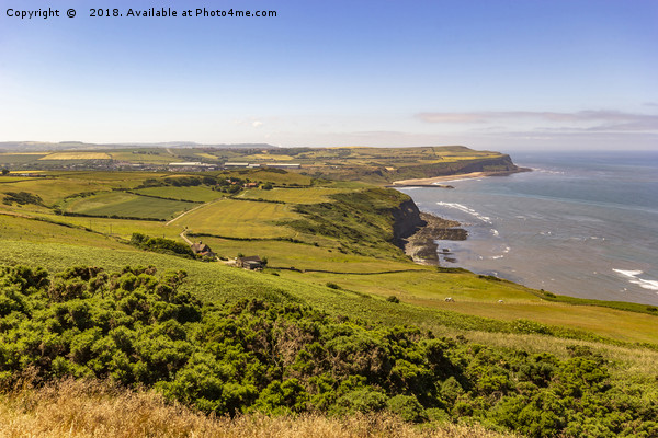 Majestic Boulby Cliffs: A Coastal Wonder Picture Board by keith sayer