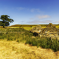 Buy canvas prints of Yorkshire Farm by keith sayer