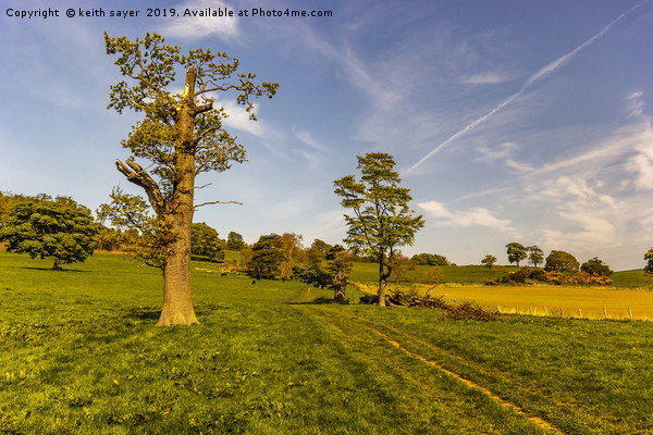 Yorkshire Farmland Picture Board by keith sayer