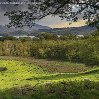 Buy canvas prints of Derwent Water  by keith sayer