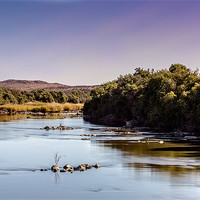 Buy canvas prints of Let the river run by Elizma Fourie