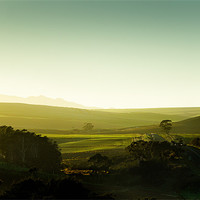 Buy canvas prints of Fields of Green by Elizma Fourie