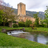 Buy canvas prints of Italian Gardens - Romantic Garden of Ninfa by Jenny Rainbow
