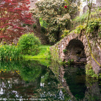 Buy canvas prints of Italian Gardens - Romantic Garden of Ninfa 1 by Jenny Rainbow