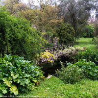 Buy canvas prints of Italian Gardens - Romantic Garden of Ninfa 7 by Jenny Rainbow