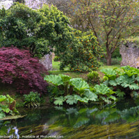 Buy canvas prints of Italian Gardens - Romantic Garden of Ninfa 13 by Jenny Rainbow