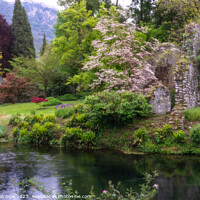 Buy canvas prints of Italian Gardens - Romantic Garden of Ninfa 12 by Jenny Rainbow