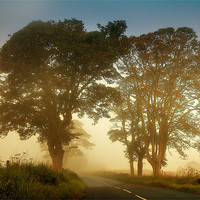 Buy canvas prints of Twilight Guardians. Misty Roads of Scotland by Jenny Rainbow